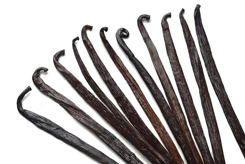 12 Large Vanilla Beans For Making Vanilla Extract Grade A - NON-GMO Planifolia Type Bulk, 6-8 Inches Grade A+...