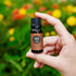 Edens Garden Ginger Essential Oil- 100% Pure Premium Grade, Undiluted, Natural, Therapeutic, Aromatherapy, The Best for Diffuser, Skin, Candle, Ki...