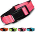 BLAZIN 'Color Me Happy!' Reflective Dog Collar for Day and Night - Adjustable Soft Neoprene Padded Dog Collar in 4 Vibrant Colors - Keeps Dogs Saf...