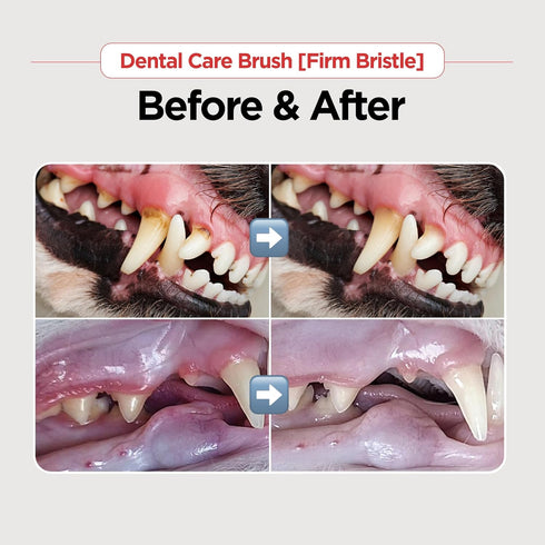Dental Care Brush (Firm Bristles) - Resilient Toothbrush for Dog Tartar & Plaque Removal, Horizontal Head and S-curved Body...