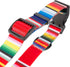 Hooey Nomad Dog Collar, Durable Polyester Webbing Collar with Graphic-Inspired Prints, Serape Tijana, Medium...