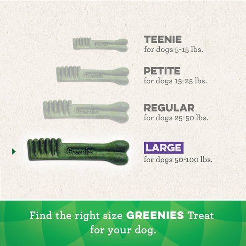 Greenies Pumpkin Spice Flavor Large Size, Veterinarian-Recommended for Dental Care, Dog Treat Chews, Limited Edition, 12 oz., Pack of 8...