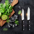 2PCS Paring Knife - Little Cook Paring Knife Set - Ultra Sharp Kitchen Knife - Fruit Knife - German stainless Steel - ABS Handle...