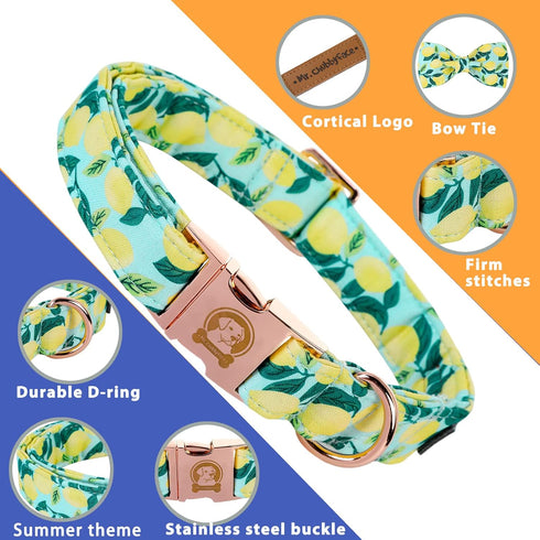 MR. CHUBBYFACE Dog Collar with Bowtie Summer Lemon Dog Collar Adjustable Boy Girl Flower Dog Collar Bowtie for Small Medium Large Dog...