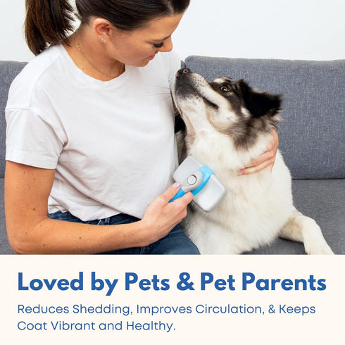 Self Cleaning Slicker Brush For Dogs and Cats - Top Slicker Dog and Cat Brush - Effective, Comfortable, and Super Easy to Clean - Perfect For Groo...