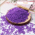 5000pcs Glass Seed Beads Bulk, 3mm 8/0 Craft Small Pony for DIY Projects Bracelets Necklace Jewelry Making - Purple Waist Spacer With Tweezers...