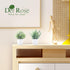Der Rose 2 Pack Small Fake Plants Artificial Greenery Eucalyptus Plants in Pots for Bedroom Living Room Decor...
