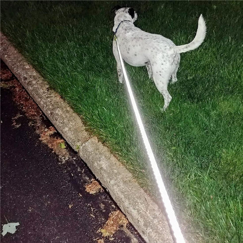 Heavy Duty Dog Leash, 6FT Reflective Rope Leash Strong Braided Soft Padded Handle Dog Lead, for Ex-Large Large Dogs Training Walking Thick Leads (...