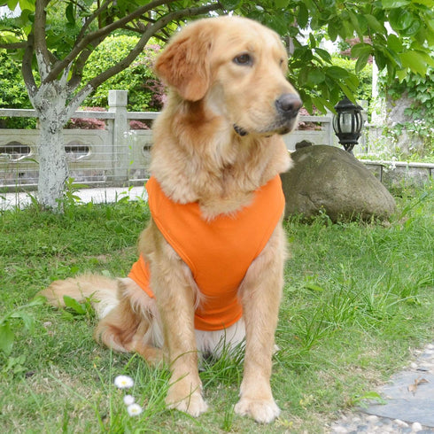 Lovelonglong 2019 Summer Pet Clothing, Dog Clothes Blank T-Shirts Ribbed Tanks Top Thread Vests for Large Medium Small Dogs 100% Cotton Orange S...