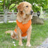 Lovelonglong 2019 Summer Pet Clothing, Dog Clothes Blank T-Shirts Ribbed Tanks Top Thread Vests for Large Medium Small Dogs 100% Cotton Orange S...