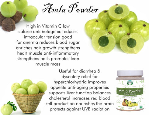 Amla Fruit Powder (Amalaki) 100 Gm | Raw and Non GMO | Rich in Antioxidant Vitamin C | Vegan | 100% Raw from India | Emblica Officinalis | Indian ...