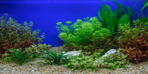 Lake Aquatic Plant Aquarium Background, Underwater River Bed Nature Green Plant Fish Tank Backdrop Decor, Polyester Fabric with 6 EVA Double-Sided...