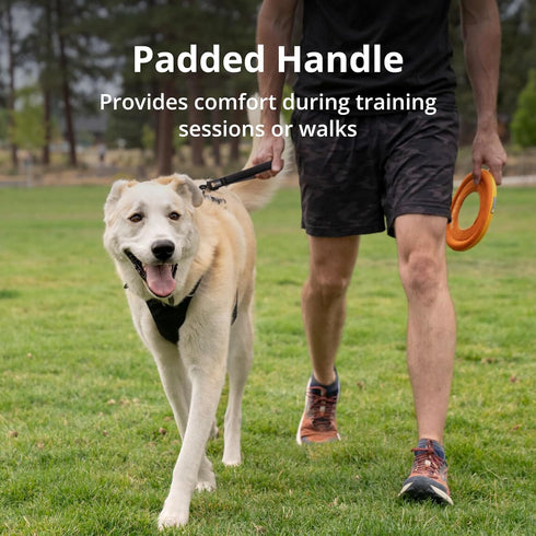 Ruffwear, Front Range Short Traffic Leash with Padded Handle, 15-inch (38cm) Durable Short Dog Lead for Training and Walking, Basalt Gray...