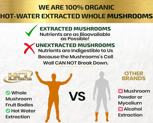 Organic Mushroom Supplement Extracts of Lions Mane Cordyceps Chaga Reishi Turkey Tail Maitake Shiitake Capsules - Natural Vitamins Minerals Antiox...