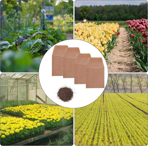 200 Pack Kraft Small Exquisite Coin Envelopes 3-1/6 x 3-1/2 Kraft Seed Envelopes with Self-Adhesive for Garden, Home and Office… (200 pack 3.15 * ...