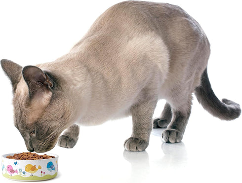 PetRageous 17011 Early Bird Stoneware Dishwasher Safe Cat Bowl with 2-Cup Capacity 5-Inch Diameter 2-Inch Tall for Small Cats or Large Cats, White...