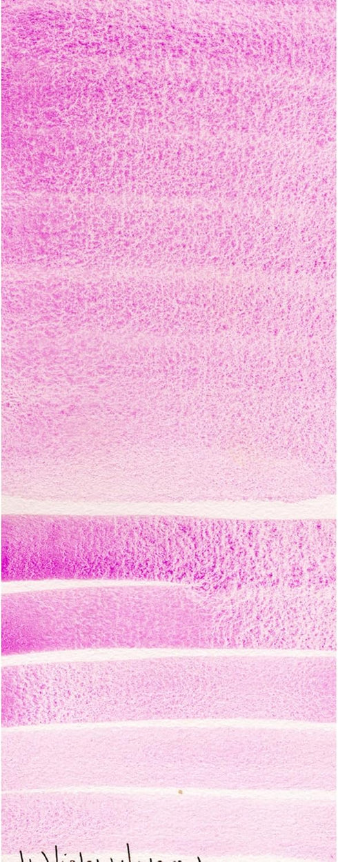 DANIEL SMITH 284600030 Extra Fine Watercolor 15ml Paint Tube, Cobalt Violet...