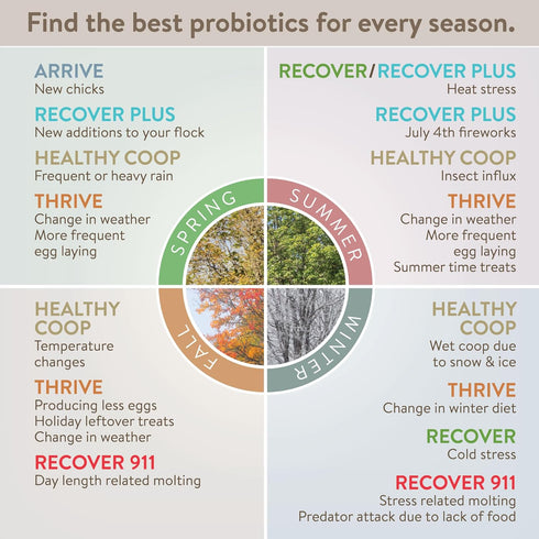 Recover Plus Moderate Stress Probiotic Water Supplement for Chickens with Electrolytes & Oregano, 8 oz...