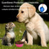 Medium Collapsible Dog and Cat Water Silicone Bowls, Pack of 2, Portable Pet Feeding Tray for Walking, Parking, Traveling with 2 Carabiners (grey&...