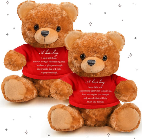 2 Pcs Little Bear Plush Stuffed Animal Sympathy Gifts Memory Bear with a Bear Hug Sign Funeral Gift for Kids Bereavement Comfort Child Loss of Lov...
