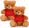 2 Pcs Little Bear Plush Stuffed Animal Sympathy Gifts Memory Bear with a Bear Hug Sign Funeral Gift for Kids Bereavement Comfort Child Loss of Lov...