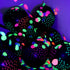 10000 pieces UV Neon Round Confetti 5 Colors Neon Fluorescent Tissue Confetti Dot Blacklight Glow Party Confetti for Blacklight Neon Party, Birthd...