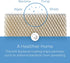 Honeywell Home HC12A1015 Whole House Humidifier Pad, Foam...