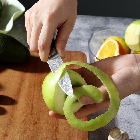 PAUDIN Paring Knife, 3.5 Inch Fruit Knife, High Carbon 5Cr15Mov Stainless Steel Forged Paring Knife, Ultra Sharp Small Kitchen Knife, Ergonomic Wo...