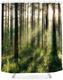 LIGHTINHOME Nature Shower Curtain 72x72 Inch Bright Sunshine Tree Green Leaves Fresh Grass Landscape Woodland Scene Floral Fabric Waterproof Bathr...