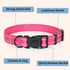 Mile High Life | Nylon Night Light Glow Collar for Medium Dogs | Reflective Band Cat Collar | Fluorescence self-luminescence Strap Puppy Collar | ...
