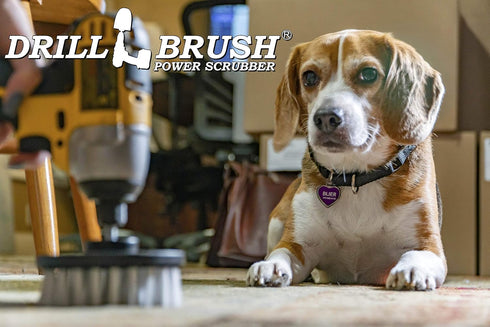 Drillbrush Pet Hair Remover Brush - Lint Roller Brush Alternative – Car Carpet Pet Hair Lifter and Lint Remover - Dog Brush/Cat Brush Drill Attach...