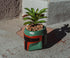 Star Wars Boba Fett Helmet 3-Inch Ceramic Planter with Artificial Succulent | Small Flower Pot, Faux Indoor Plant for Desk Shelf, Trinket Tray | C...