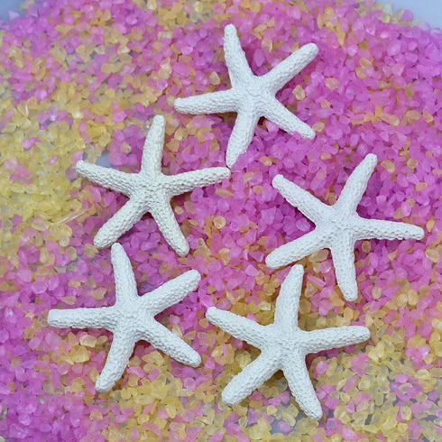 LJY 25 Pieces White Resin Pencil Finger Starfish for Wedding Decor, Home Decor and Craft Project, 2.3 Inches...