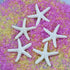 LJY 25 Pieces White Resin Pencil Finger Starfish for Wedding Decor, Home Decor and Craft Project, 2.3 Inches...