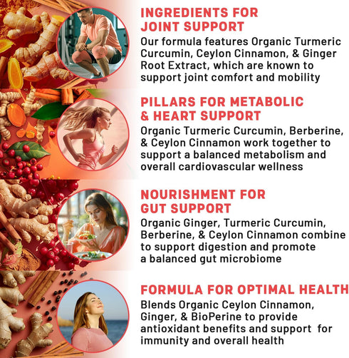 5-in-1 Turmeric Curcumin Supplement (4210mg) with Berberine, & Ceylon Cinnamon - Organic Turmeric Curcumin with Black Pepper and Ginger Supplement...