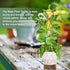 17.5 Inch Indoor Plant Trellis for Climbing Plants,Metal Trellis,Small Garden Trellis for Potted Plants,Plant Stakes for Indoor Plants Accessories...