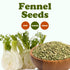 Food to Live Fennel Seeds, 4 Ounces – Whole, Raw, Non-Irradiated, Non-GMO, Kosher, Vegan, Bulk, Sweet Licorice Flavor, Perfect for Fennel Tea, Coo...