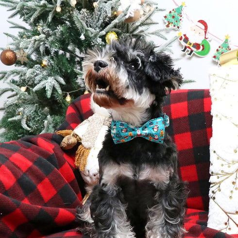 ARING PET Christmas Dog Collar-Cotton Winter Dog Collar with Bow, Adjustable Blue Christmas Tree Pet Collar Puppy Collars with Metal Buckle...