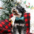 ARING PET Christmas Dog Collar-Cotton Winter Dog Collar with Bow, Adjustable Blue Christmas Tree Pet Collar Puppy Collars with Metal Buckle...