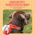 Martingale Dog Collar Light-reflective Polyester Collars for Dogs Whippets, Greyhounds, Saluki, American Bully, No-pull No-escape Safety Training ...