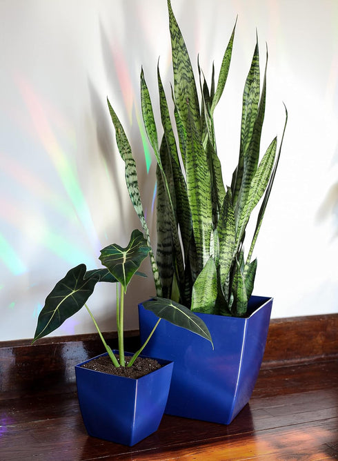 The HC Companies 6 Inch Aria Square Planter - Plastic Plant Pot for Indoor Outdoor Plants Flowers Herbs, Glossy Black...