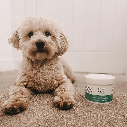 pet wiz Aloe Vera Eye Wipes for Cleaning Dogs & Cats - Extra Large...