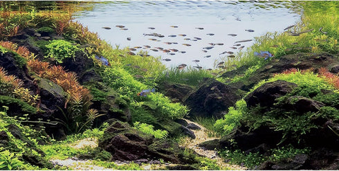 AWERT 36x20 inches Stone Aquarium Background Aquatic Plant River Bed & Lake Fish Tank Background Seaweed Fish Tank Background Vinyl Background...