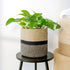 TIMEYARD Sturdy Jute Rope Plant Basket Modern Woven Basket up to 7.5 Inch Flower Pot Floor Indoor Planters, 8” x 8” Storage Organizer Basket Rusti...