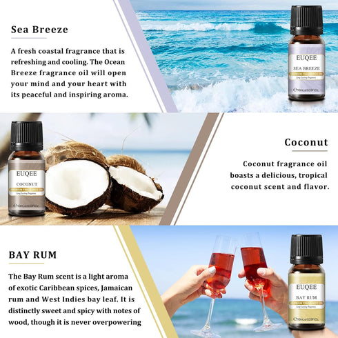Holiday Island Fragrance Oil Gift Set of 6 Summer Fragrance Essential Oils Set for Humidifier, Aromarathepy - 10ml - Pineapple, Coconut, Sea Breez...