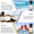 Holiday Island Fragrance Oil Gift Set of 6 Summer Fragrance Essential Oils Set for Humidifier, Aromarathepy - 10ml - Pineapple, Coconut, Sea Breez...