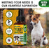 Natural Yeast Infection Treatment for Dogs • Itch Relief • Dog Allergy Relief • Inflammation Relief • Dog Ear Infection • Yeast Infection Treatmen...