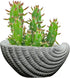 Classic Home and Garden Indoor Outdoor Cement Succulent Sea Shell Planter, Gray, 5"...