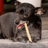 Pet Factory American Beefhide 5" Munch Mini Rolls Dog Chew Treats - Natural Flavor, 40 Count/1 Pack...