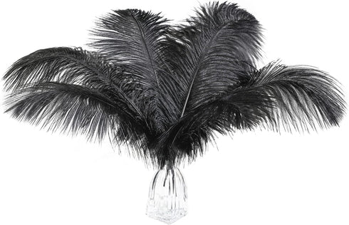 12pcs Natural Black Ostrich Feathers 12-14inch (30-35cm) for Wedding Party Centerpieces?Flower Arrangement and Home Decoration....
